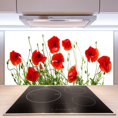 Kitchen Splashback Poppies floral green red