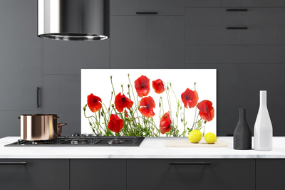 Kitchen Splashback Poppies floral green red