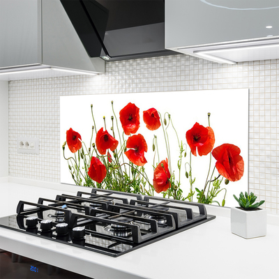 Kitchen Splashback Poppies floral green red