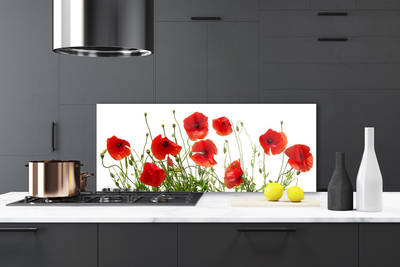 Kitchen Splashback Poppies floral green red