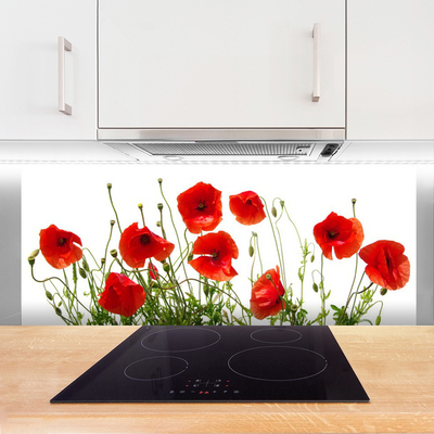 Kitchen Splashback Poppies floral green red