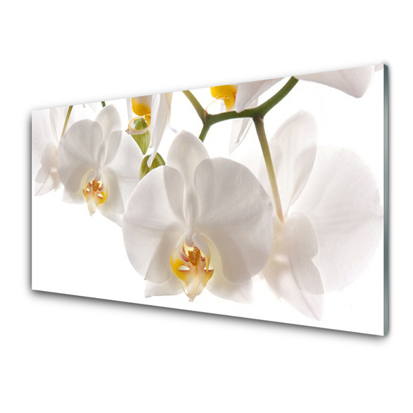 Kitchen Splashback Flowers floral white