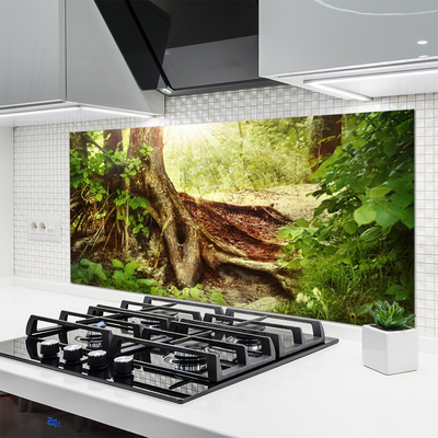 Kitchen Splashback Tree trunk nature brown green