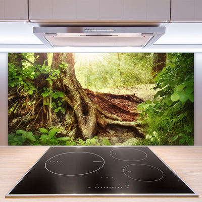 Kitchen Splashback Tree trunk nature brown green