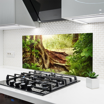 Kitchen Splashback Tree trunk nature brown green