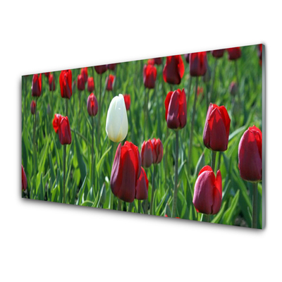 Kitchen Splashback Tulips floral red white green