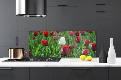 Kitchen Splashback Tulips floral red white green