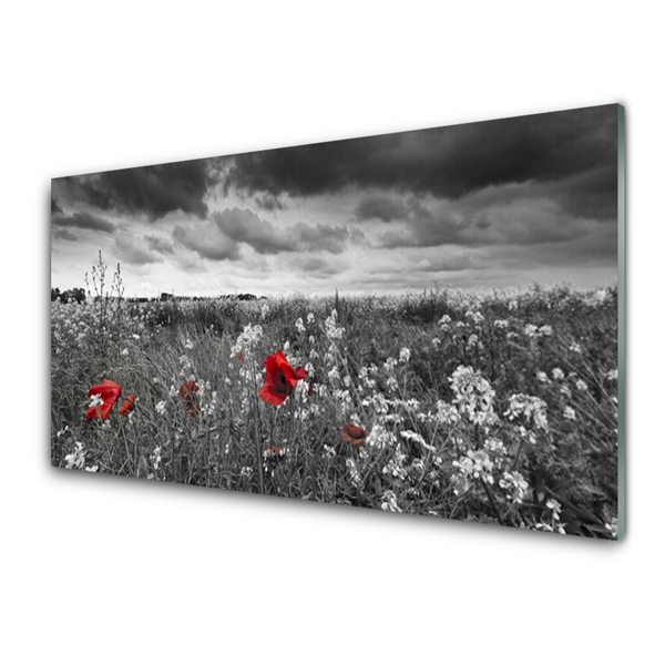 Kitchen Splashback Meadow flowers nature grey red