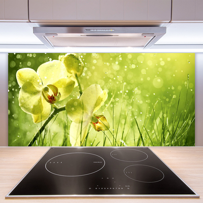 Kitchen Splashback Grass flowers floral green