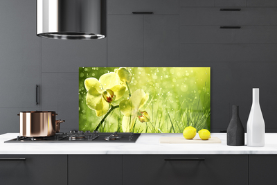 Kitchen Splashback Grass flowers floral green