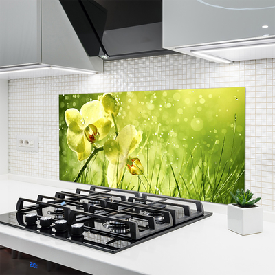 Kitchen Splashback Grass flowers floral green