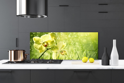 Kitchen Splashback Grass flowers floral green