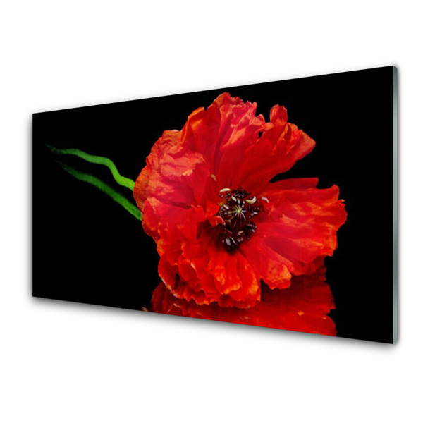 Kitchen Splashback Flower floral red