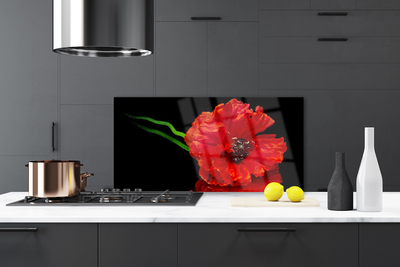 Kitchen Splashback Flower floral red