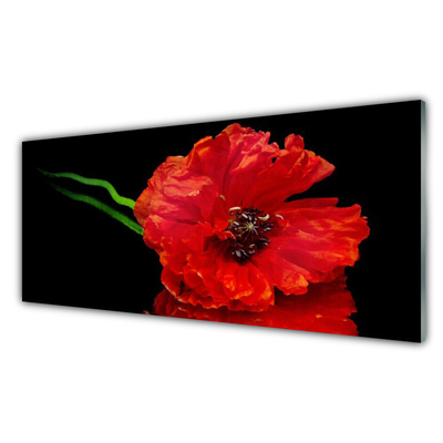 Kitchen Splashback Flower floral red