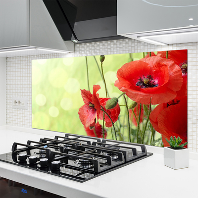 Kitchen Splashback Poppies floral green red