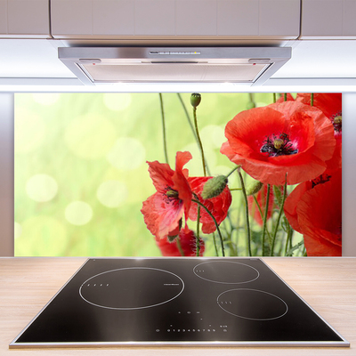 Kitchen Splashback Poppies floral green red