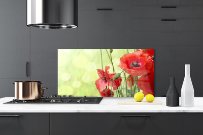 Kitchen Splashback Poppies floral green red