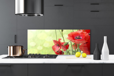 Kitchen Splashback Poppies floral green red