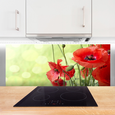 Kitchen Splashback Poppies floral green red