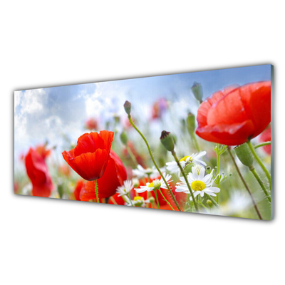 Kitchen Splashback Poppies daisies floral red yellow white