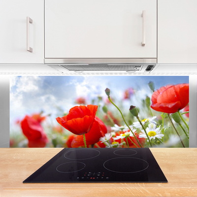 Kitchen Splashback Poppies daisies floral red yellow white