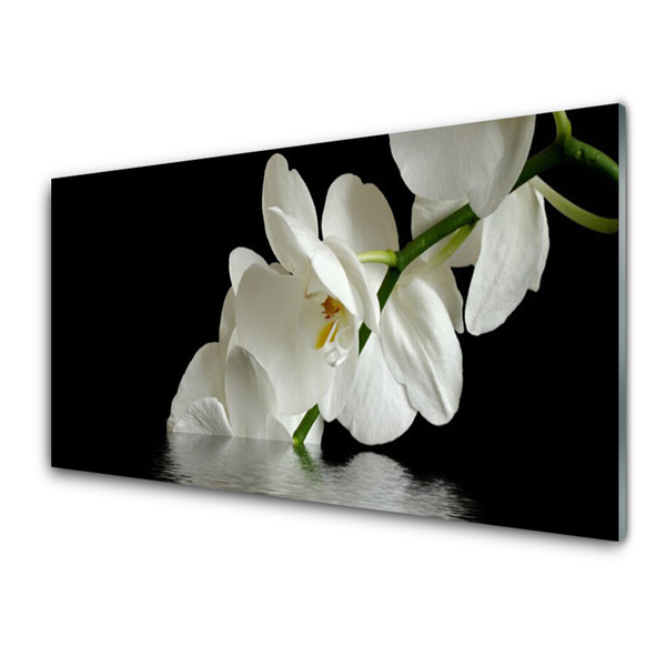 Kitchen Splashback Flowers floral white