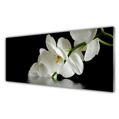 Kitchen Splashback Flowers floral white