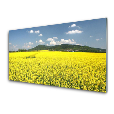 Kitchen Splashback Meadow nature yellow