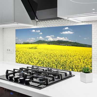 Kitchen Splashback Meadow nature yellow