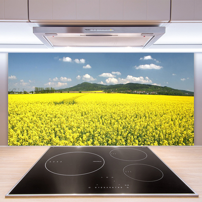 Kitchen Splashback Meadow nature yellow