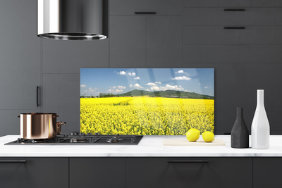 Kitchen Splashback Meadow nature yellow