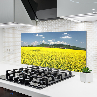 Kitchen Splashback Meadow nature yellow