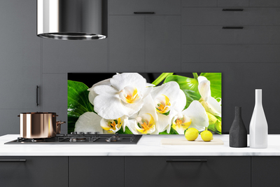 Kitchen Splashback Petals floral white green