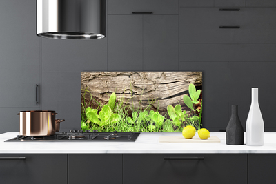 Kitchen Splashback Grass leaves floral green