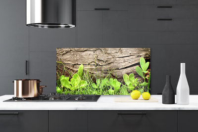 Kitchen Splashback Grass leaves floral green