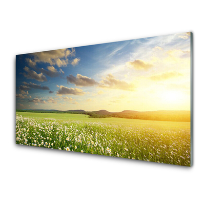 Kitchen Splashback Meadow flowers landscape green white