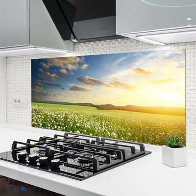 Kitchen Splashback Meadow flowers landscape green white