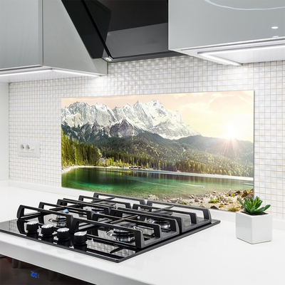 Kitchen Splashback Mountain forest lake landscape white grey green