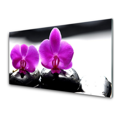 Kitchen Splashback Flower stones floral pink black