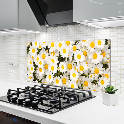 Kitchen Splashback Daisy floral yellow white