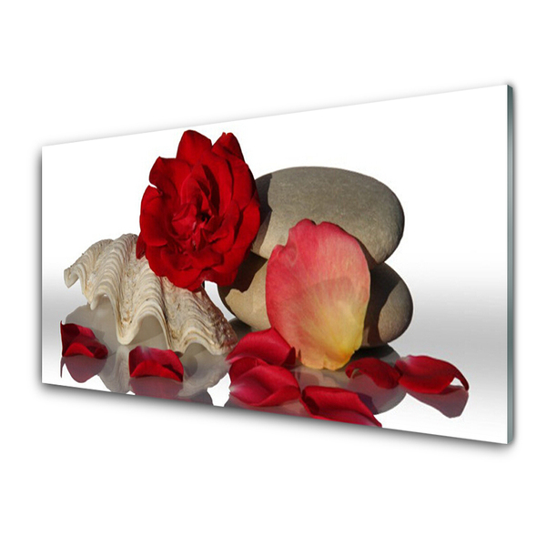 Kitchen Splashback Rose conch stones art red white grey