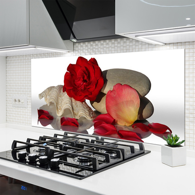 Kitchen Splashback Rose conch stones art red white grey