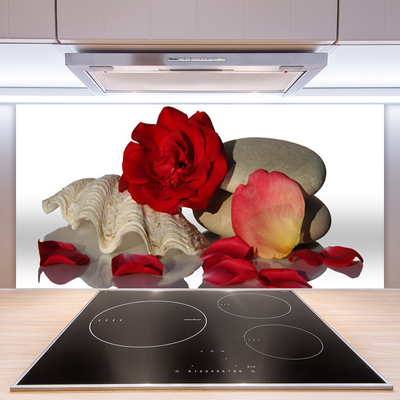 Kitchen Splashback Rose conch stones art red white grey