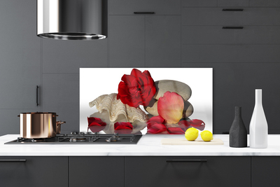 Kitchen Splashback Rose conch stones art red white grey