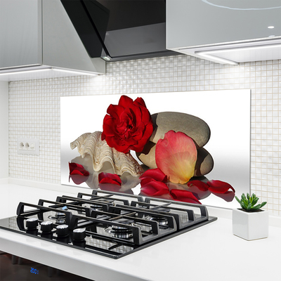 Kitchen Splashback Rose conch stones art red white grey