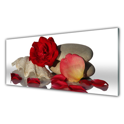 Kitchen Splashback Rose conch stones art red white grey