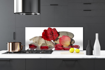 Kitchen Splashback Rose conch stones art red white grey