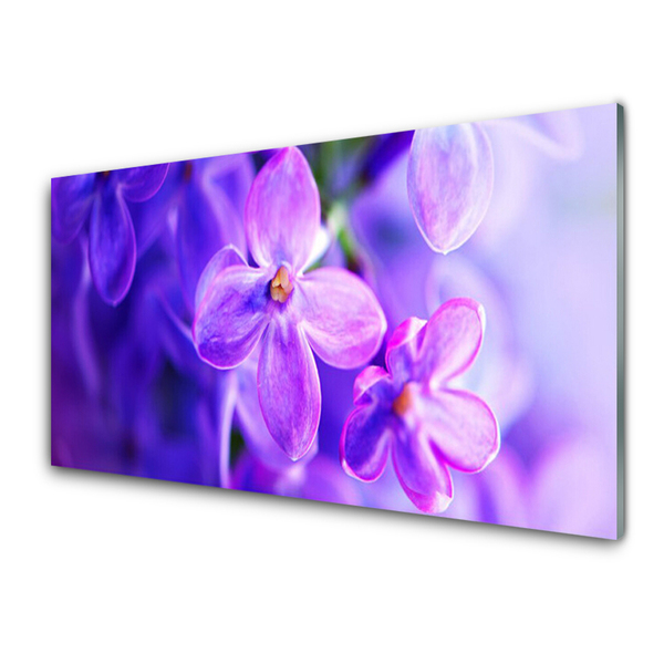 Kitchen Splashback Flowers floral pink