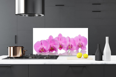 Kitchen Splashback Flowers floral pink